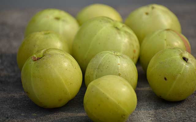 Amla